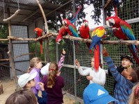 /album/fotogalerie-zoopark-na-hradecku-horni-pena/zooparknahradecku-78-jpg1/